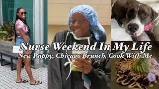 NURSE VLOG | NEW PUPPY, BRUNCH IN CHICAGO, COOK WITH ME + MORE