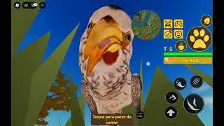 Calau de bico amarelo😅