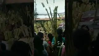 Palm Sunday 2023