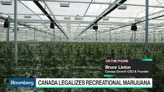 Canopy Growth CEO Says Lines Are Around the Block for Cannabis