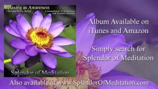 The Equanimity of Awareness with Bentinho Massaro - Splendor of Meditation - www.InnerSplendor.com