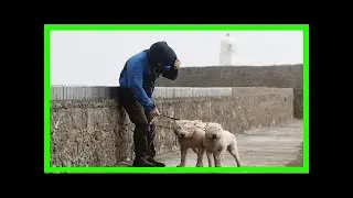Breaking News | Storm brian sends 80mph gusts across the uk and ireland
