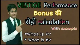 How to calculate vestige performance bonus? With example...!