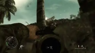 Call Of Duty World at war 2