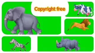 Different Animal Green Screen Character|Copyright Free|Green Screen Effect