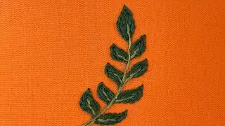 Curry leaves - Herbs in kitchen 
