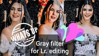 Gray filter | LR. Edit | ZY 26 11