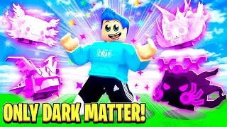 Using Only DARK MATTER PETS TO BEAT Pet Simulator X!