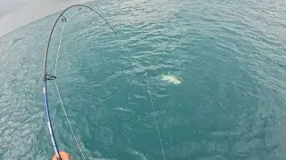 ESSE FOI O XARÉU MAIS VALENTE QUE JÁ PEGUEI NA PESCARIA DE SLOWJIGGING 🔥