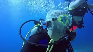 Sandals Royal Bahamian (Nassau, Bahamas) Scuba Diving Day1 - 1/10/26