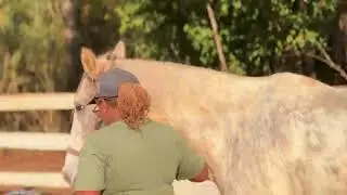 Women's Group Therapy Session at SOOFA Ranch