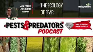 Pests & Predators, Ep 29: The ecology of fear