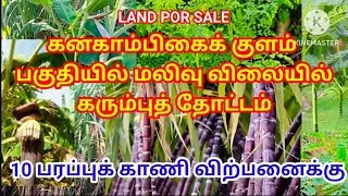 Sugarcane plantation land for sale. கனகாம்பிகைக்குளம் பகுதியில் மலிவு விலையில் கரும்புத் தோட்டம்