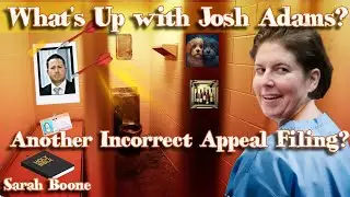 Josh Adams : A Day Late and a Dollar Short | FL v Sarah Boone