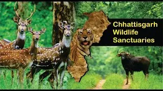 Wildlife Sanctuaries In Chhattisgarh | National Parks In Chhattisgarh | Chhattisgarh Tourism