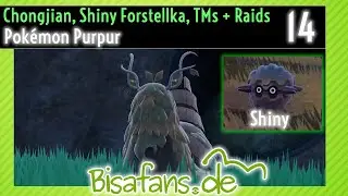 Pok&eacute;mon Purpur [14] - Chongjian, Shiny Forstellka, TMs + Raids
