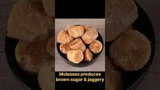 Sugar Uses Animal bones?