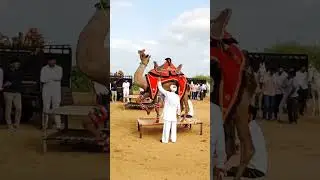 unth ka dance 😊 training time in farm house 🏠 #villagevlog #prakashmoondvlogs #rajasthan #camel