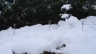 TSF 2 : Col d'Intriat, Premiers tests hivernaux