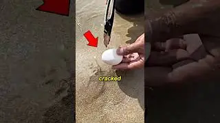 He Used a Raw Egg to Catch a Crab #shorts