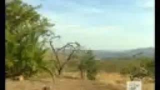 Masinda Lodge - Hluhluwe, South Africa