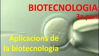 Biotecnologia (3a part) Aplicacions de la biotecnologia