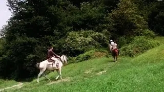 Le Ippovie delle Prealpi trevigiane