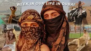 WEEK IN OUR LIFE IN DUBAI VLOG!! exotic animal zoo, 24 hours in the desert, sunrise skypool date