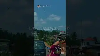 Sad😔moment | please save birds motivation | #motivational | #sad | #viral | #save