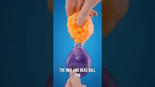 It's Two Stress Balls in One