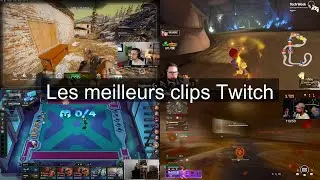 Les meilleurs clips Twitch &ndash; Agression au chat !