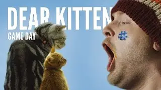 Dear Kitten: Regarding the Big Game (TEASER) &ndash; Purina&reg; Friskies
