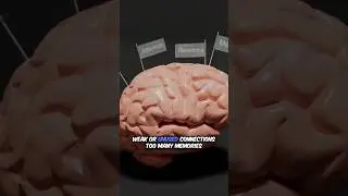 Can Your Brain Really Delete Memories? 🤯 | That&rsquo;s Crazy #crazyfacts