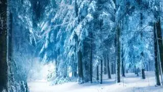 Snowflakes of Love