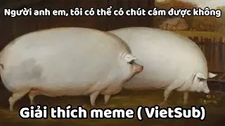 Brother, May I Have Some Oats VietSub | Giải th&iacute;ch meme