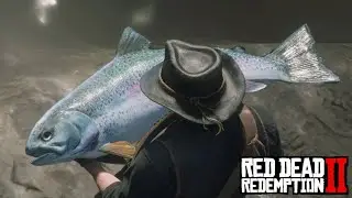 Red Dead Redemption 2 - Hunting & Catching Legendary Steelhead Trout (Easiest Way)