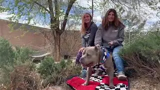 NMDOG NMLuvsPets 2021