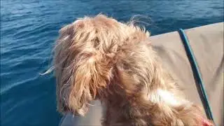 #99La Grèce descente vers le sud Petriti  Paxos stafiucha beach Preveza