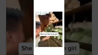 #AnimalHumor #Fails  #Prank  #Pranks #Memes #MemeReview  #Vine #VineCompilations  #DarkHumor