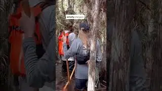 Everglades Wet Walk with Sarah Phinney!