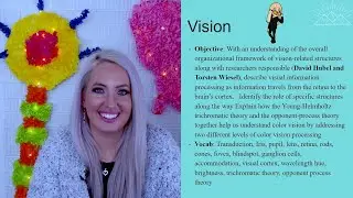 Vision and Visual Transduction