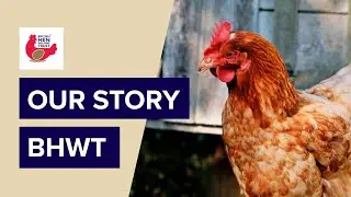 Our story