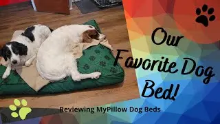 Our Favorite Dog Bed! 🐕 (from My Pillow)