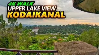 Upper Lake View Drive at Chilling #Kodaikanal 4K #tour #naturelovers