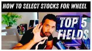 I TRIED Wheel Strategy with 5 Specific Fields and Made a Fortune