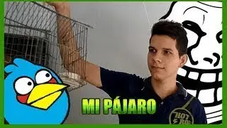 Quieres ver mi p&aacute;jaro 😏 videos random Daniel Bloop