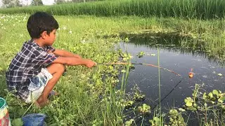 Little boy hunting catching koi fish by rod ~ Traditional hook fishing in the village canal 🥰🥰