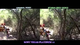 SONY VEGAS PLATINUM 11 STABILIZED MEDIA