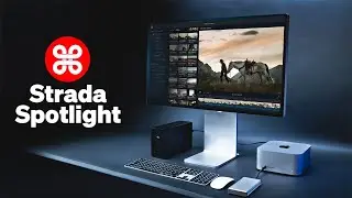Strada Spotlight: NEW NEW NEW!