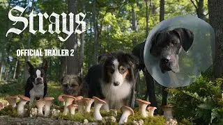 Strays Official Trailer 4K Audu 18, 2023 NO9 Top Box Office (US) Weekend of September 1-3